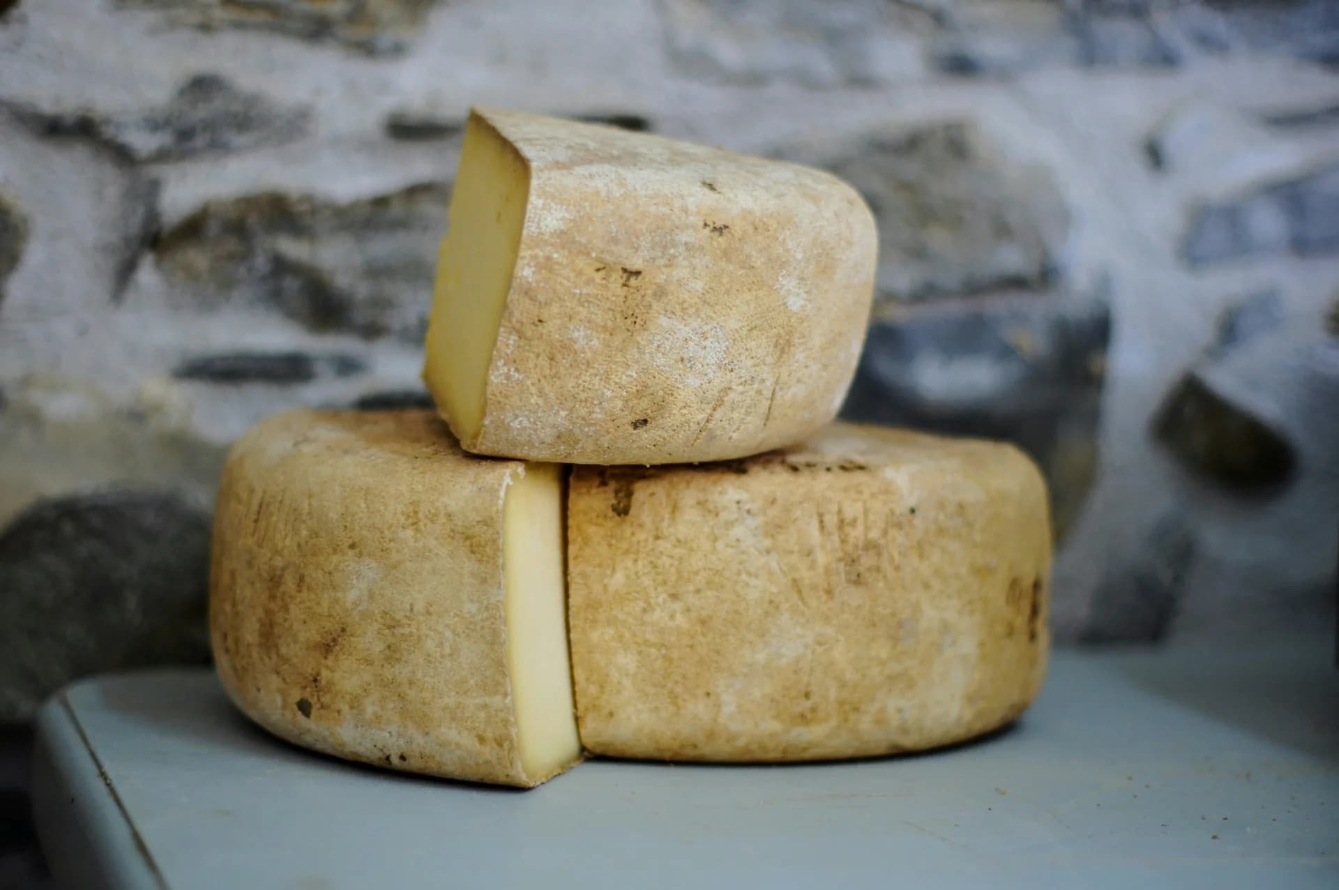 Виробництво преміальних сирів — VinkCheese